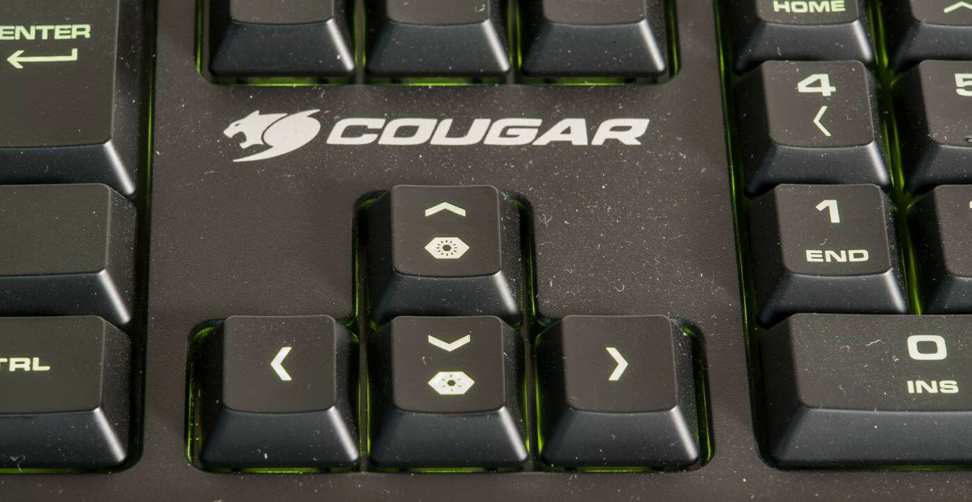 Cougar 300K - 11